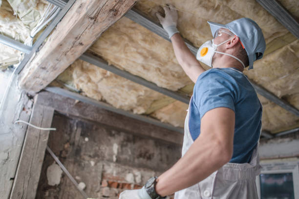 Insulation Repair Services in Eudora, KS